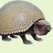 Gliptodonte. Foto: Dynopedia.